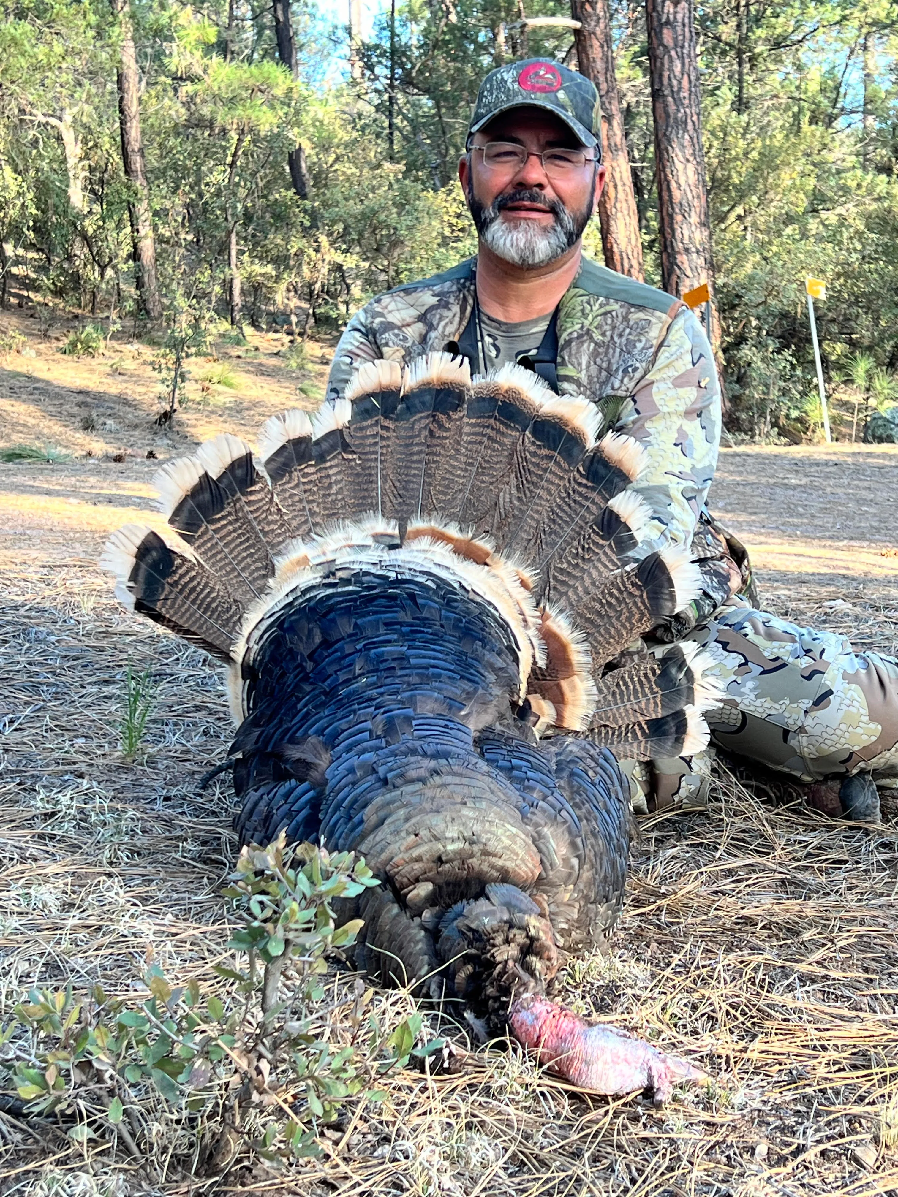 Spring Turkey Hunts